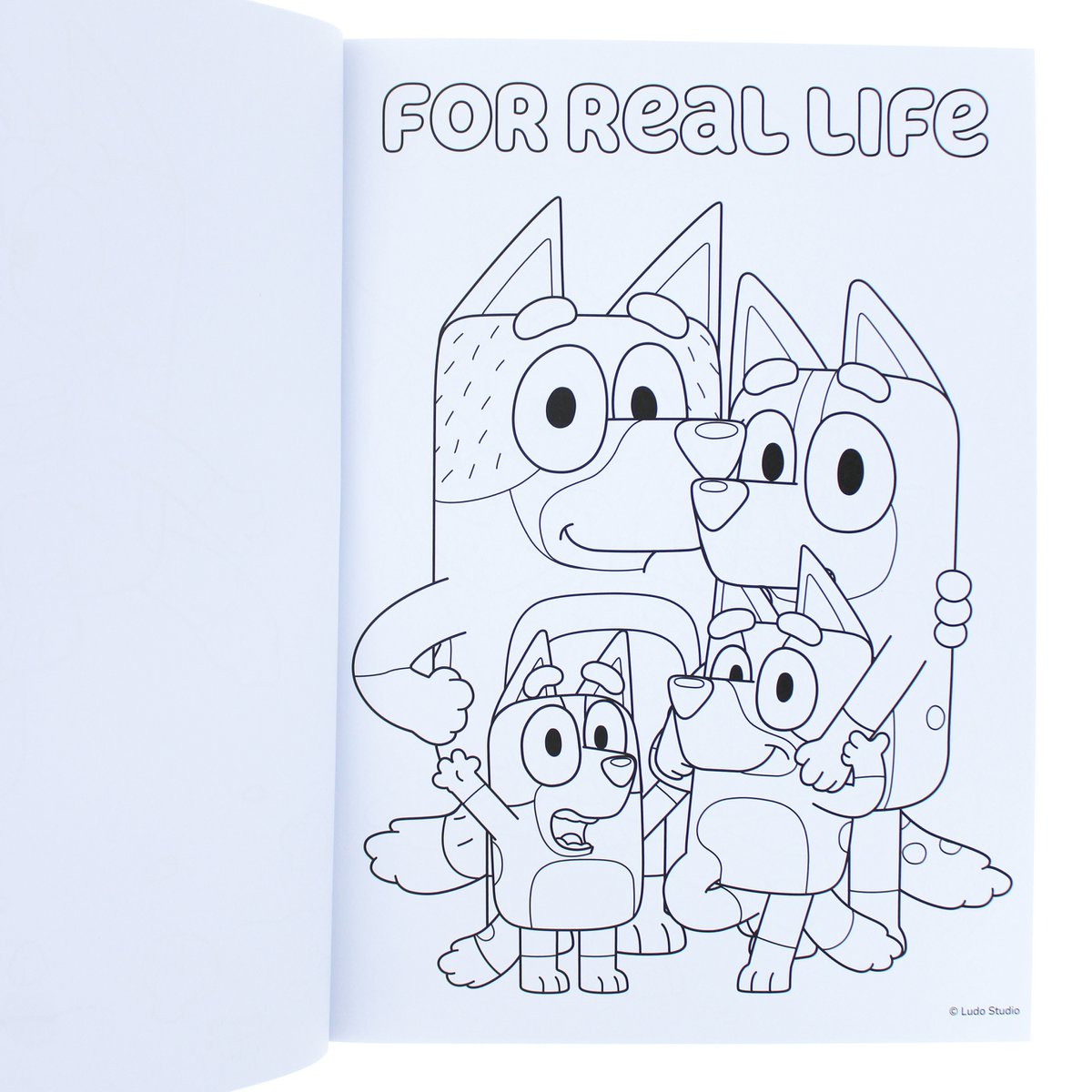 Bluey kleurboek