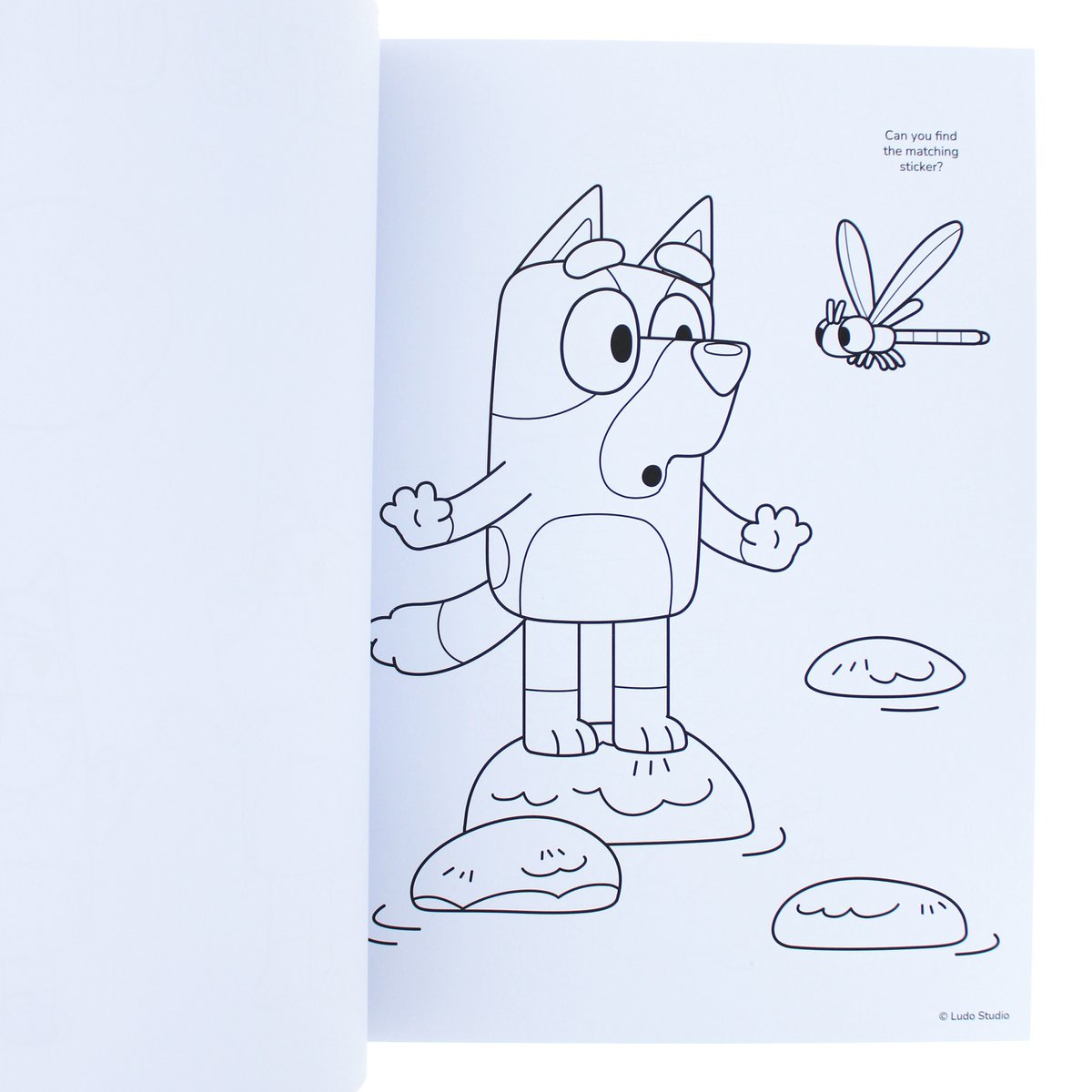 Bluey kleurboek