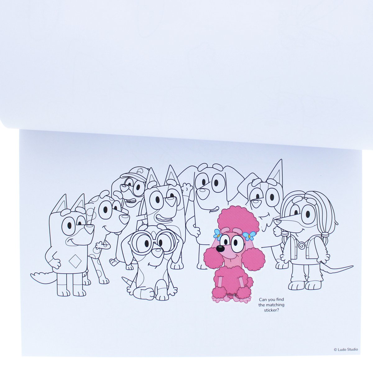 Bluey kleurboek