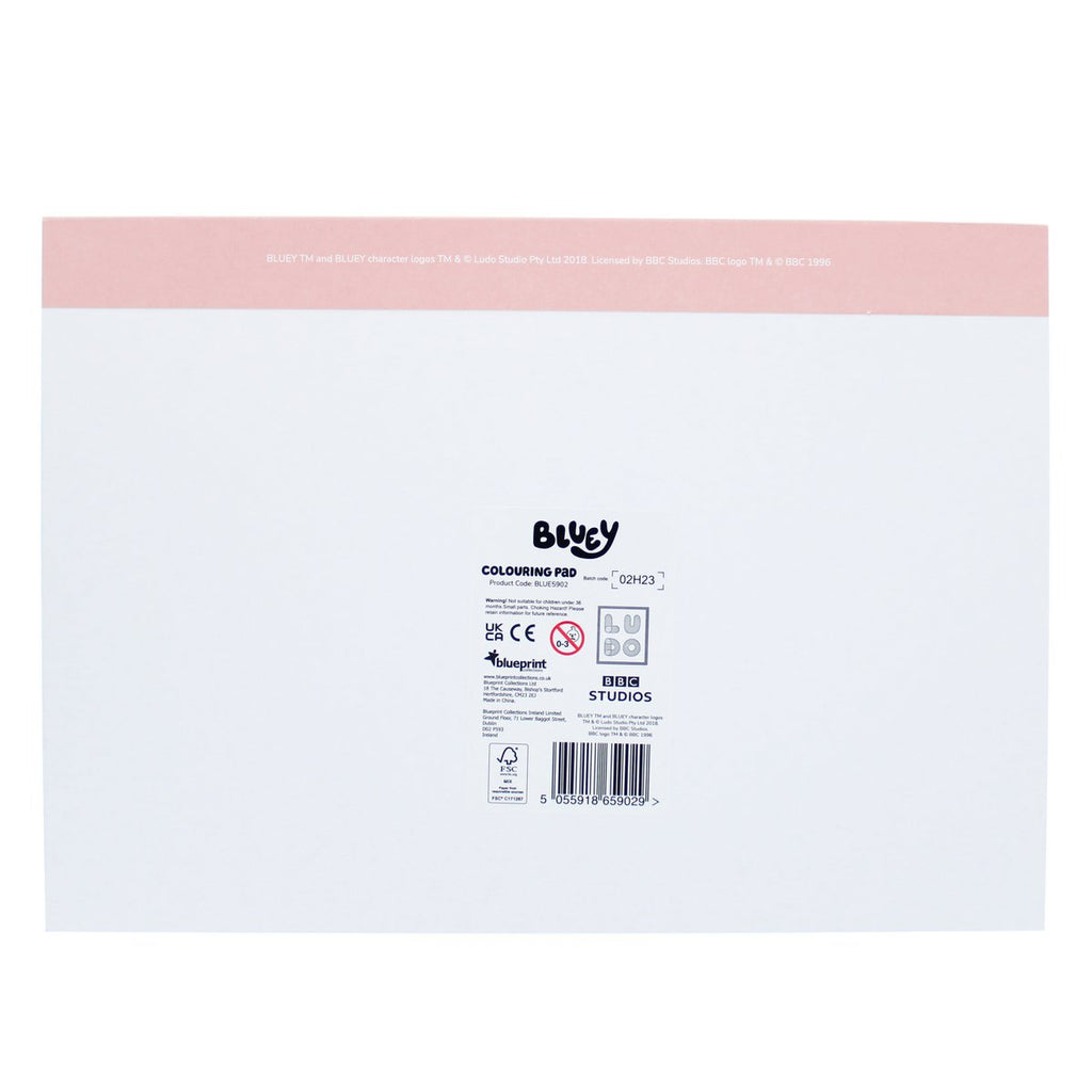 Bluey kleurboek