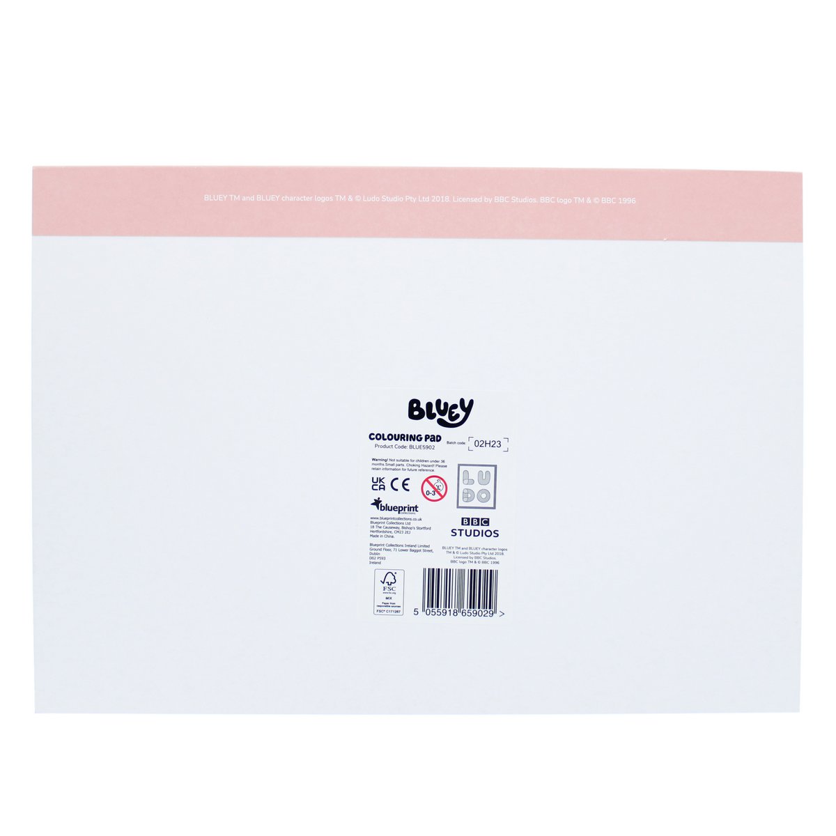 Bluey kleurboek