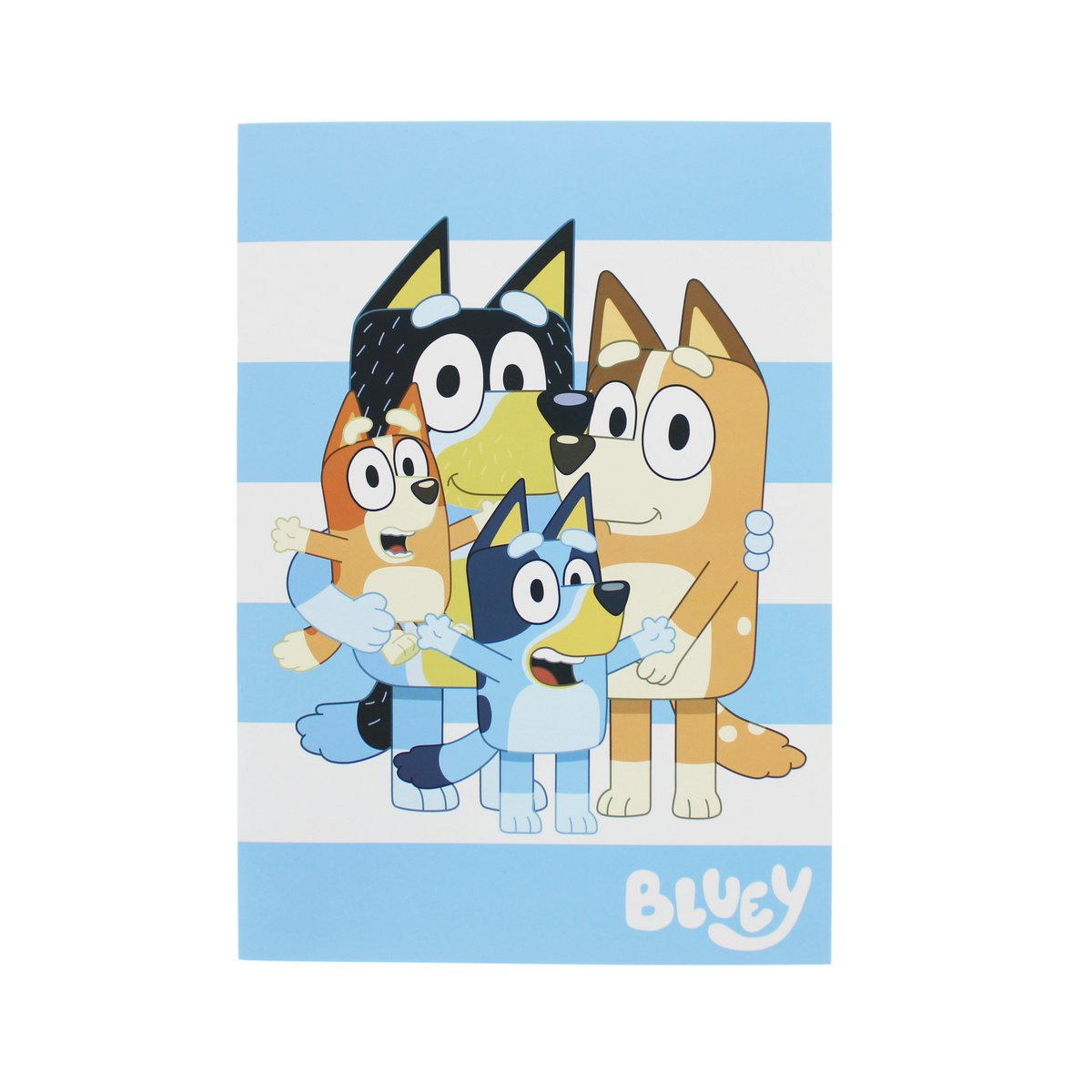 Bluey briefpapierset 12 -delig