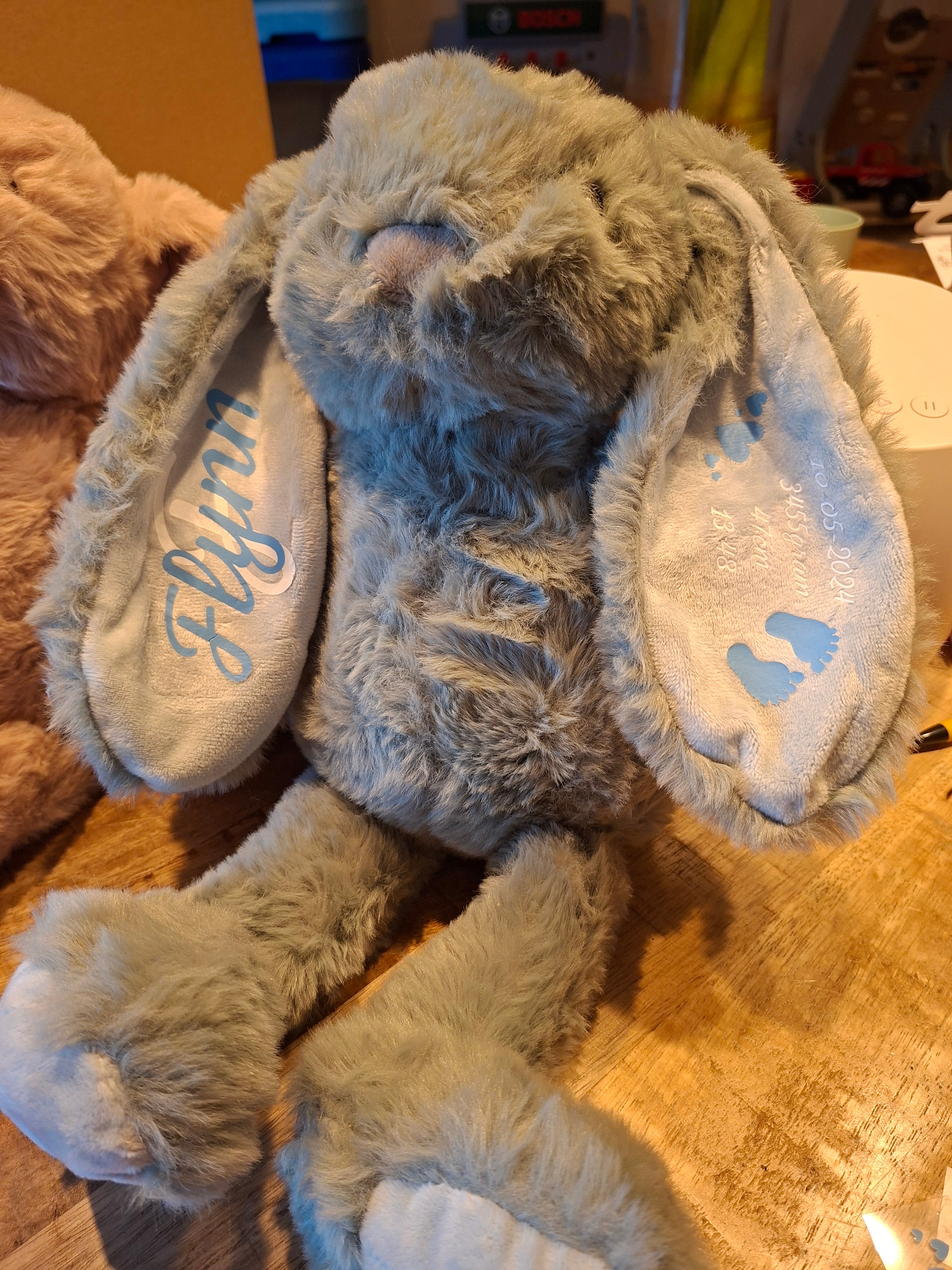Geboorte knuffel