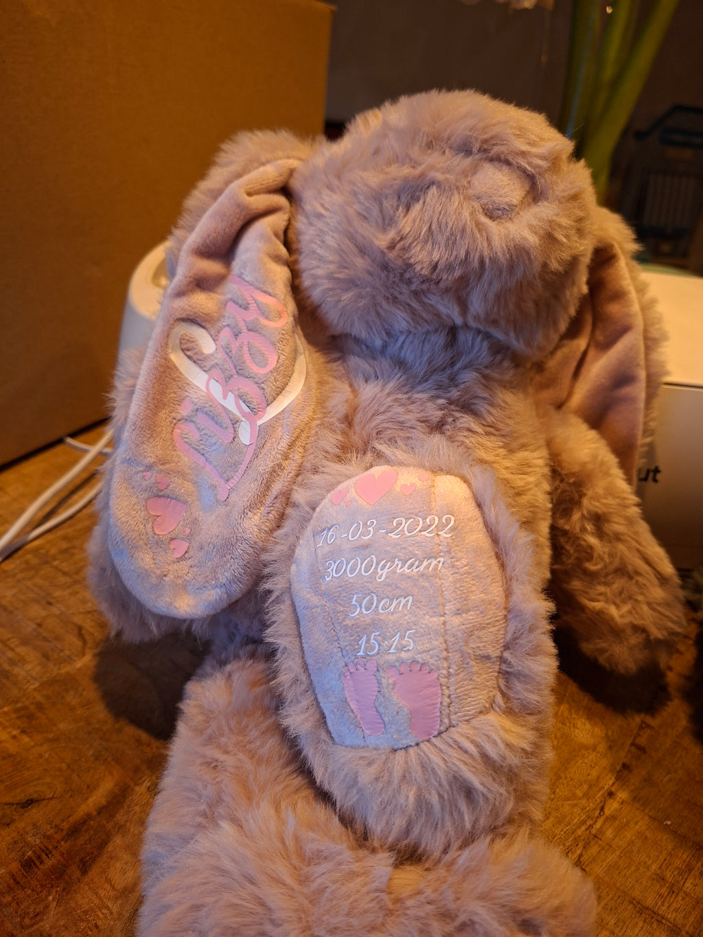 Geboorte knuffel